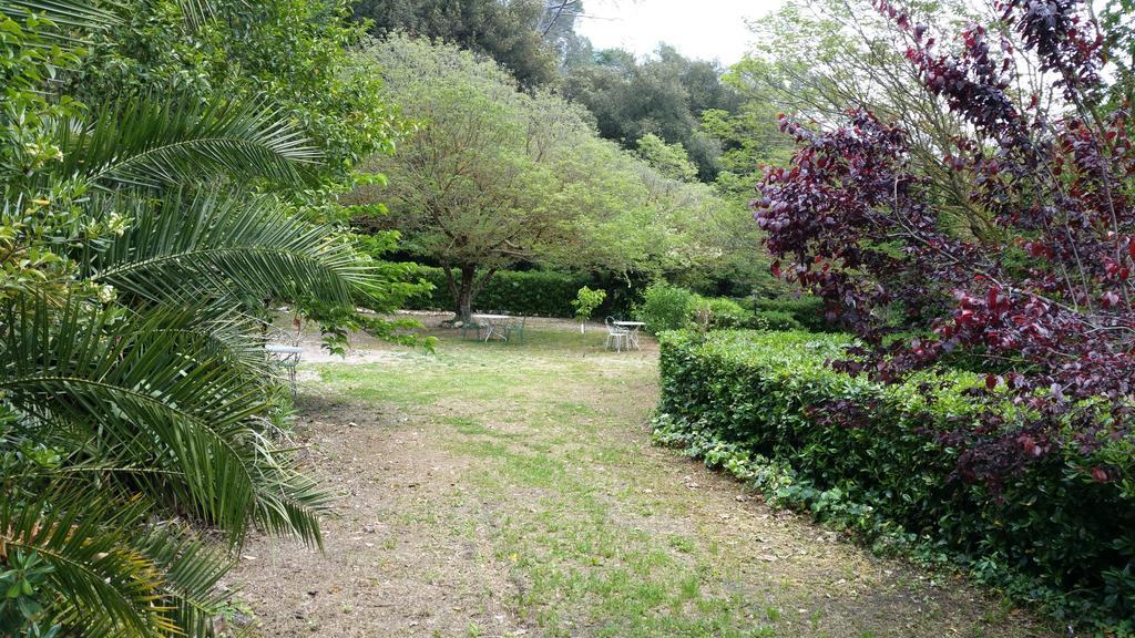 Le Clos Du Loup La Colle-sur-Loup Exterior foto