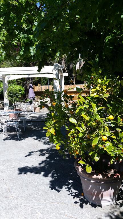 Le Clos Du Loup La Colle-sur-Loup Exterior foto
