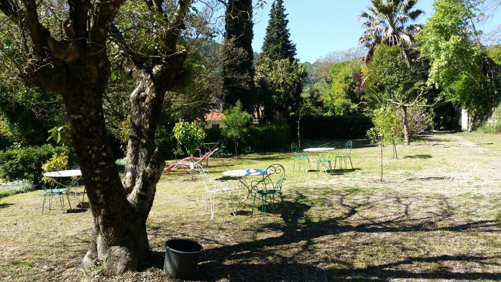 Le Clos Du Loup La Colle-sur-Loup Exterior foto